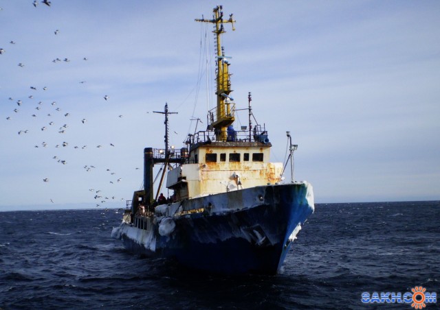 КАЛИНИНСК.  
Фотограф: 7388PetVladVik

Просмотров: 5826
Комментариев: 0