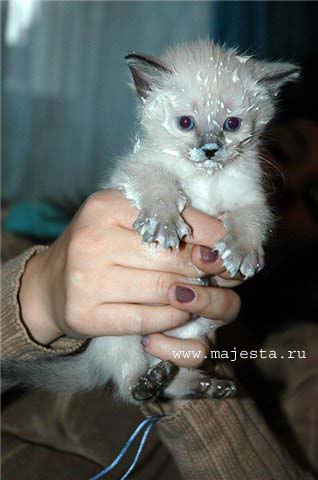 Фото 4

Просмотров: 1014
Комментариев: 0