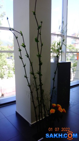 DSC00199