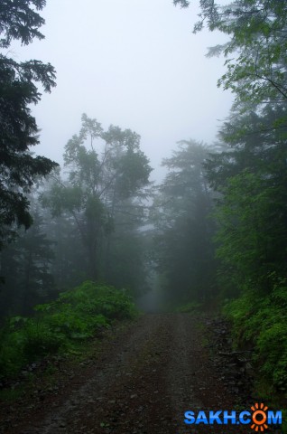 047-к

Просмотров: 466
Комментариев: 0