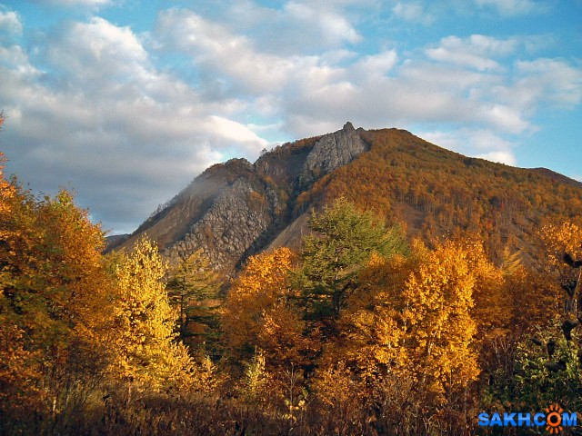 DSCF0002-к-м

Просмотров: 461
Комментариев: 0