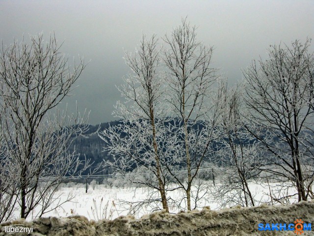 Зима
Фотограф: NIK

Просмотров: 507
Комментариев: 0
