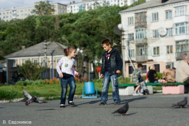 Давай знакомиться!
Фотограф: В. Евдокимов

Просмотров: 3574
Комментариев: 0