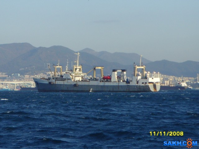 SNV31752
