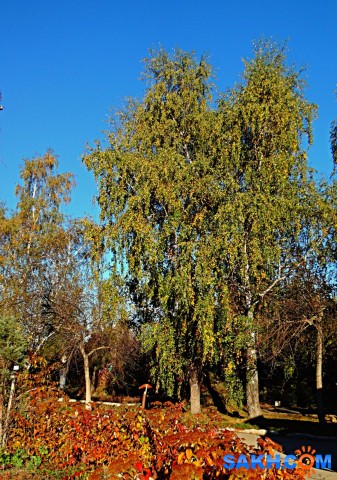 DSC06902

Просмотров: 289
Комментариев: 0