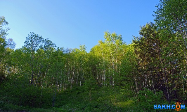 466-к

Просмотров: 634
Комментариев: 0
