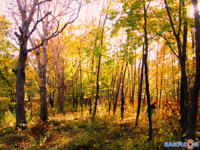 осень

Просмотров: 1383
Комментариев: 0
