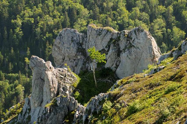 каменное гнездо
Фотограф: Alexsander Semenov

Просмотров: 518
Комментариев: 0