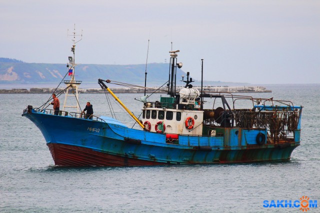МИРА.
Фотограф: 7388PetVladVik

Просмотров: 3784
Комментариев: 0
