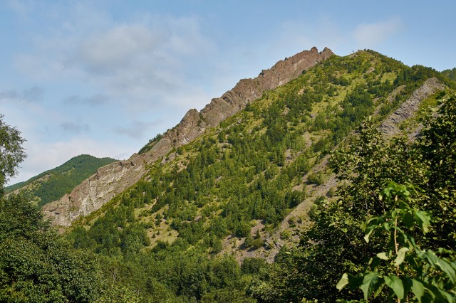 DSC09947