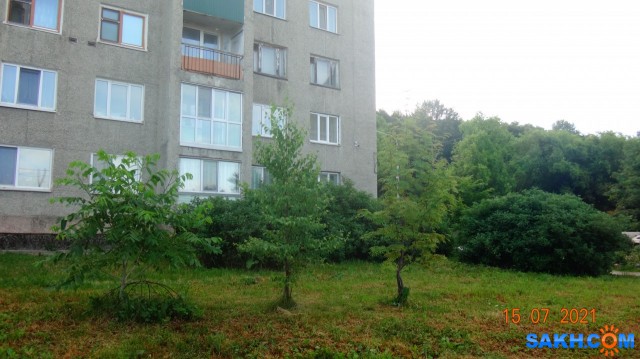 DSC03921

Просмотров: 278
Комментариев: 0