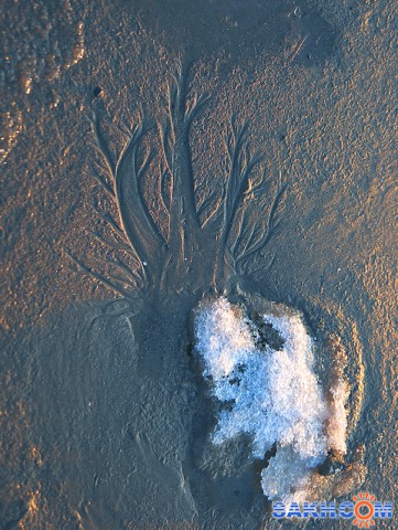 Песчаное дерево
Фотограф: Зинаида Макарова
Мороз рисует узоры на стекле... А талый снег, стекая в лужицу, рисует на морском песке такие интересные картинки.

Просмотров: 5128
Комментариев: 2