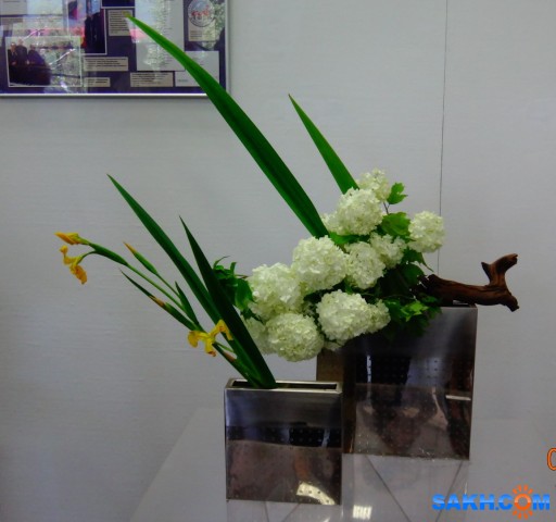 DSC00184