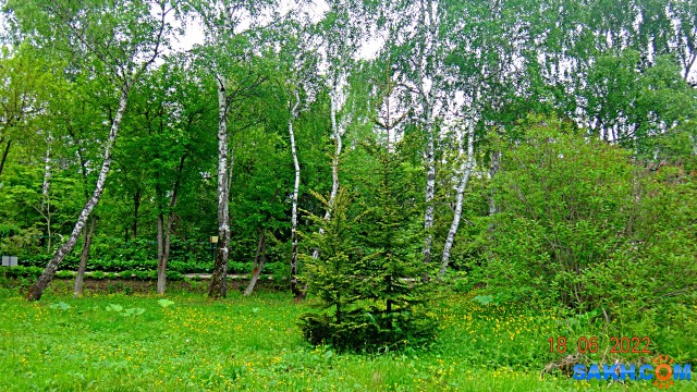 DSC09919

Просмотров: 125
Комментариев: 0