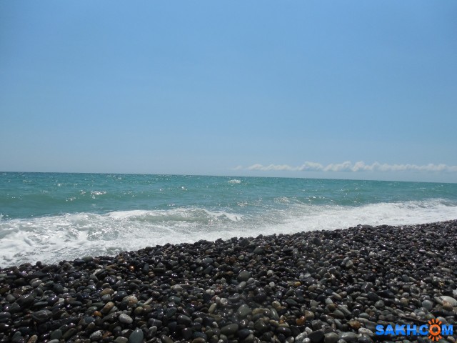 DSCN1681
