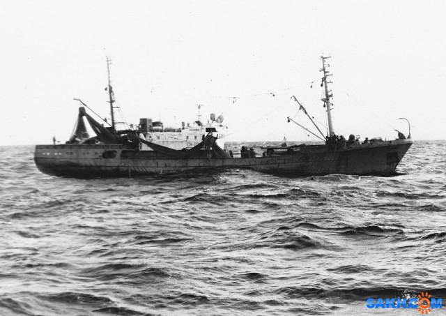 РОЩИНО.  (1983 год, на промысле иваси).
Фотограф: 7388PetVladVik

Просмотров: 4371
Комментариев: 0