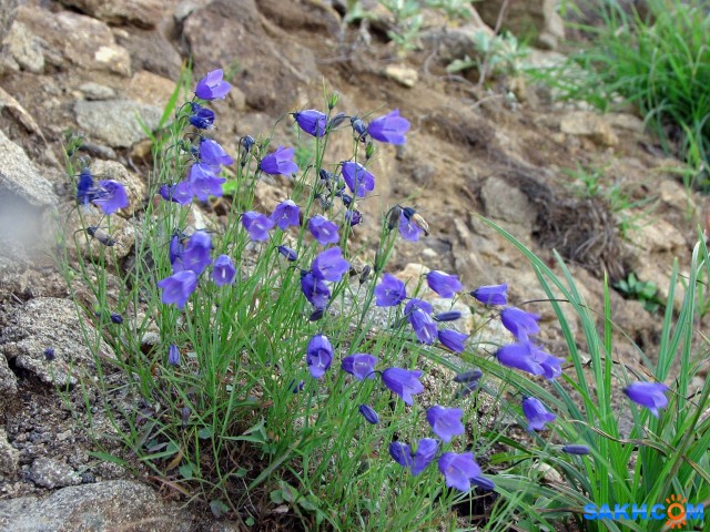 IMG_1656-к

Просмотров: 444
Комментариев: 0