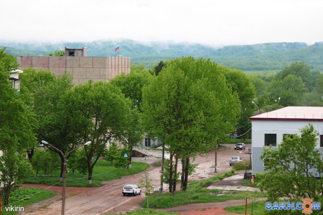 Июньская зелень.. дождь
Фотограф: vikirin

Просмотров: 3161
Комментариев: 0