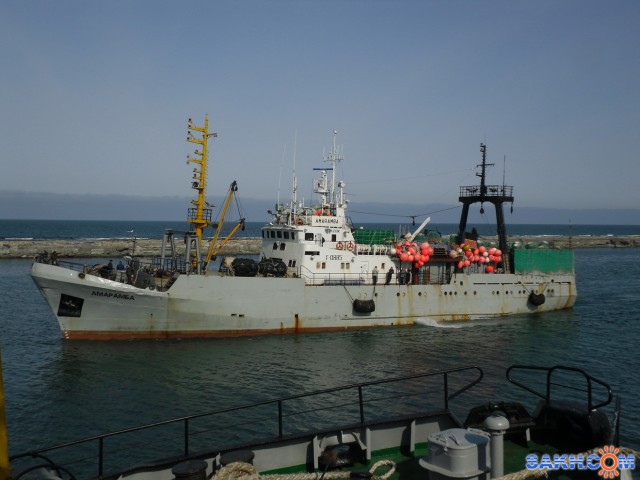 АМАРАМБА.  
Фотограф: 7388PetVladVik

Просмотров: 6581
Комментариев: 0