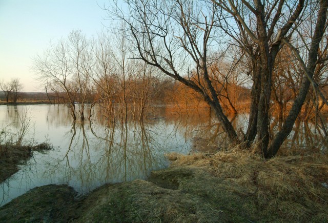 Разлив
Фотограф: Mikhaylovich

Просмотров: 2736
Комментариев: 0