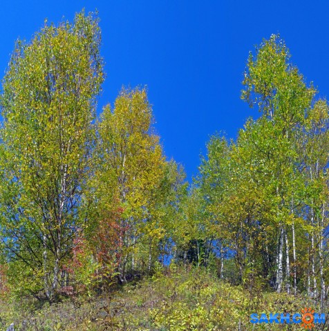 063-пан-к

Просмотров: 771
Комментариев: 0