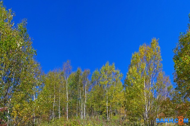 011-пан-к

Просмотров: 826
Комментариев: 0