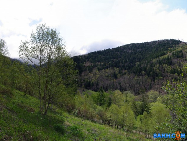 081-пан-22

Просмотров: 741
Комментариев: 0