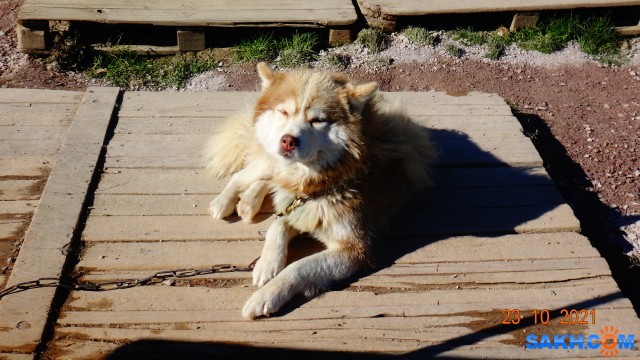 DSC07043