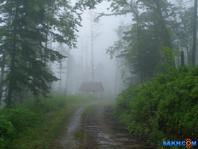 005-к

Просмотров: 664
Комментариев: 0