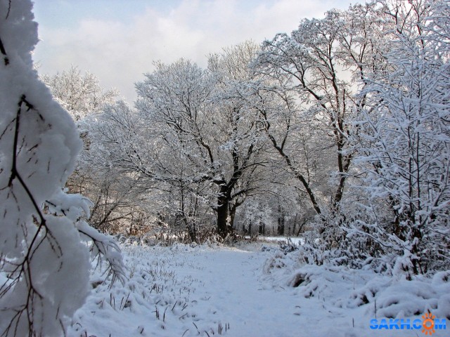 IMG_4839-к

Просмотров: 652
Комментариев: 0