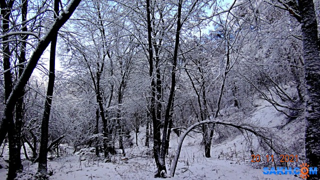 DSC07607

Просмотров: 224
Комментариев: 0