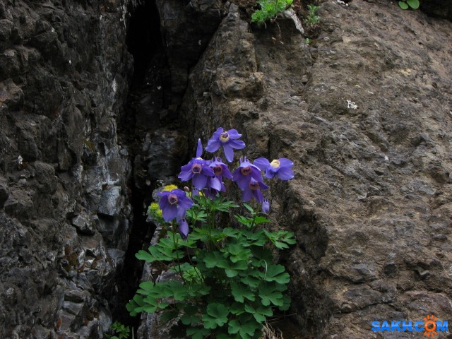 IMG_1294-к

Просмотров: 740
Комментариев: 0