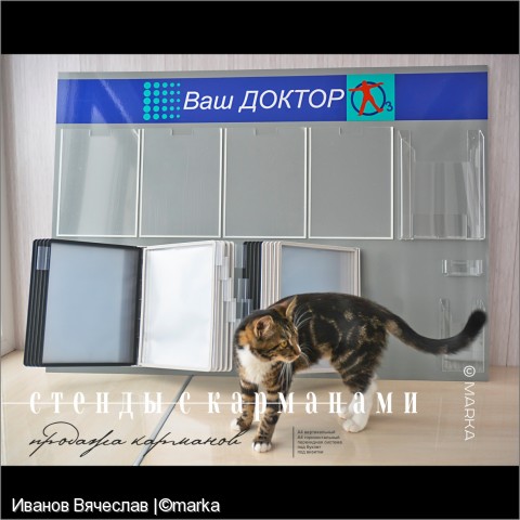 стенды с карманами / карманы в продаже
Фотограф: Иванов Вячеслав |©marka

Просмотров: 361
Комментариев: 0