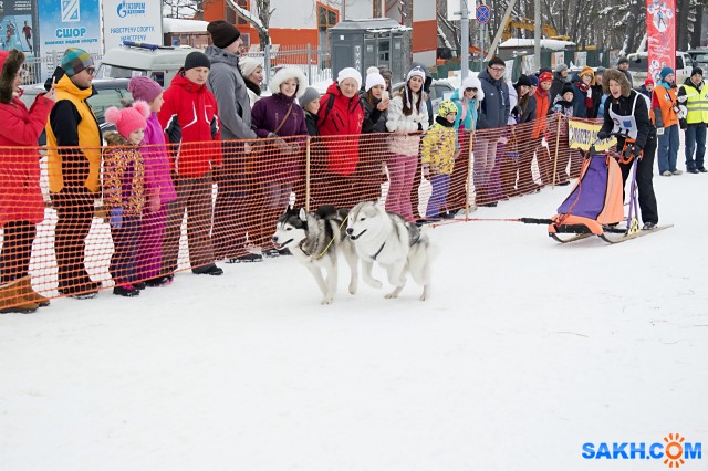 DSC_7789
Фотограф: фотохроник

Просмотров: 499
Комментариев: 0