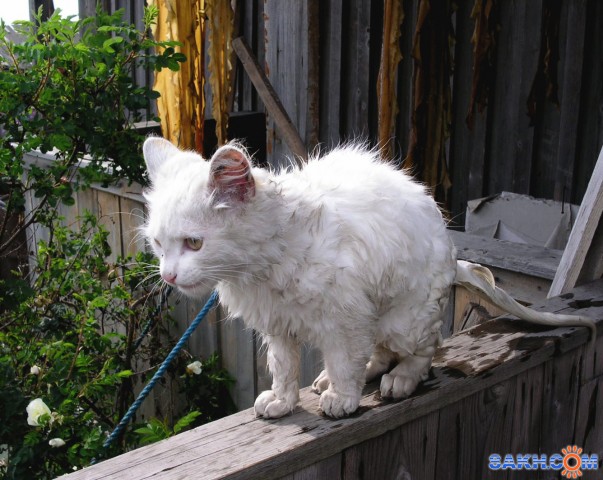 0407 

Просмотров: 797
Комментариев: 0