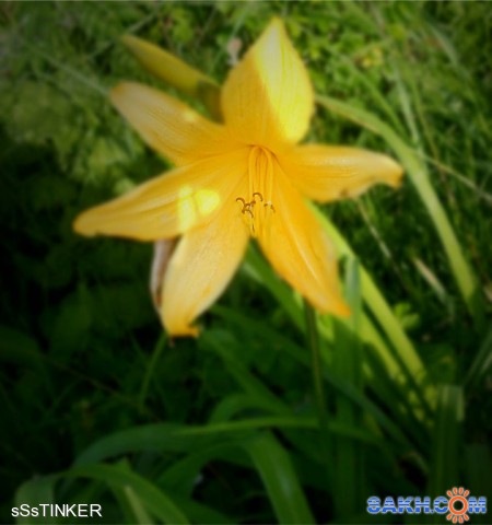 DSCN71

Просмотров: 4257
Комментариев: 0