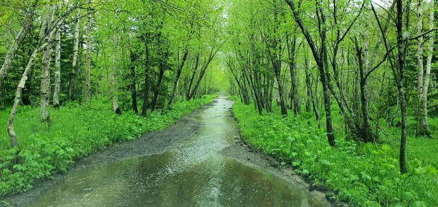 20210530_181908

Просмотров: 208
Комментариев: 0
