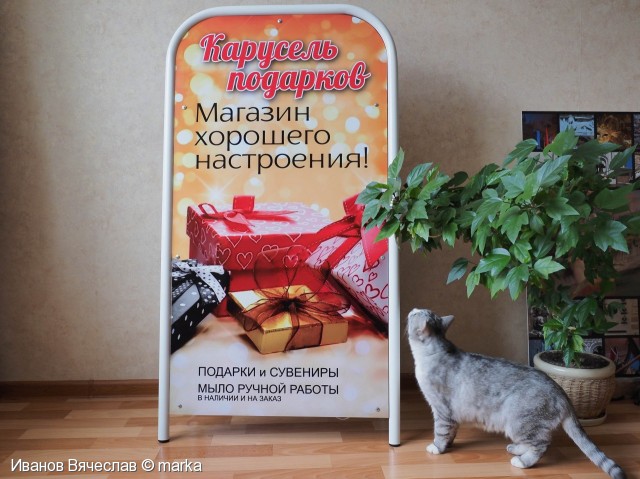 изготовление штендера (выносная конструкция)
Фотограф: Иванов Вячеслав © marka

Просмотров: 397
Комментариев: 0