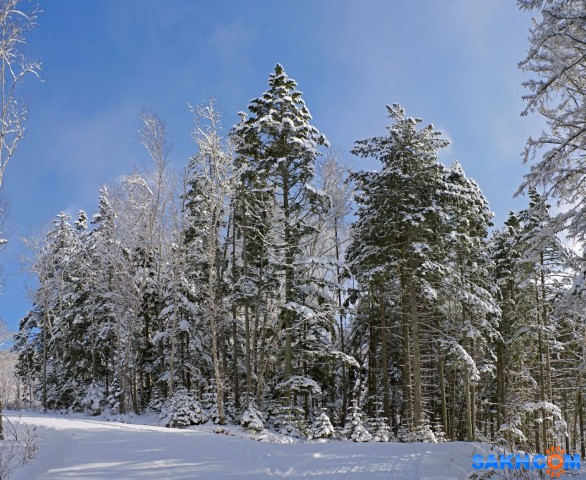 182-пан-к

Просмотров: 653
Комментариев: 0
