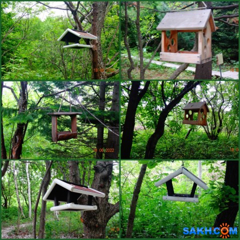 MyCollages

Просмотров: 135
Комментариев: 0