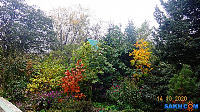 DSC08012

Просмотров: 164
Комментариев: 0