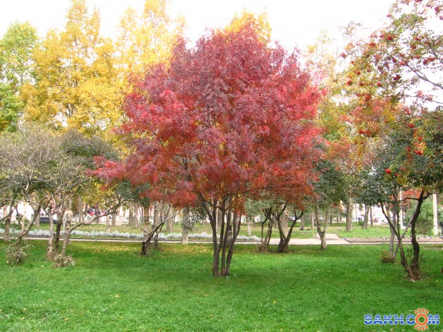Фото 32

Просмотров: 678
Комментариев: 0