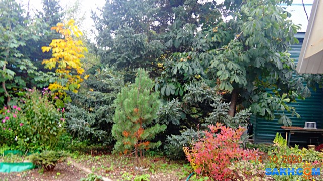 DSC08013

Просмотров: 253
Комментариев: 0