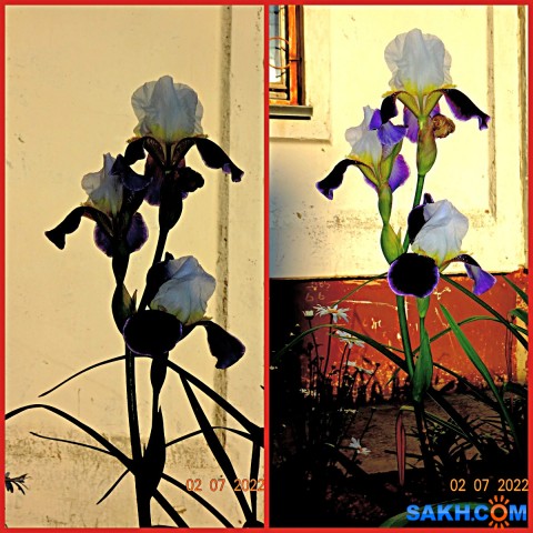 MyCollages

Просмотров: 236
Комментариев: 0
