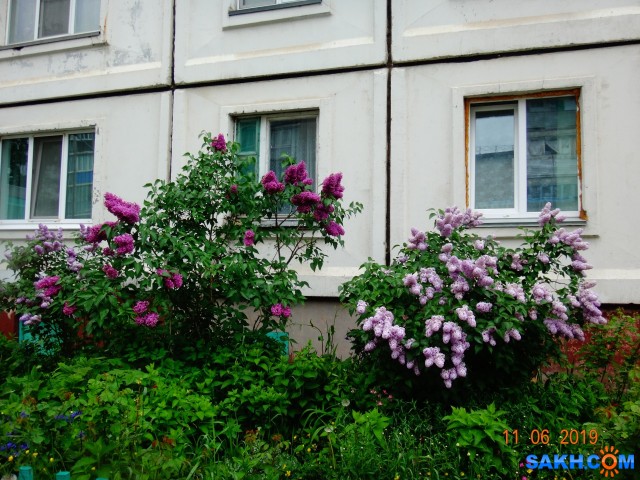 DSC08634

Просмотров: 538
Комментариев: 0