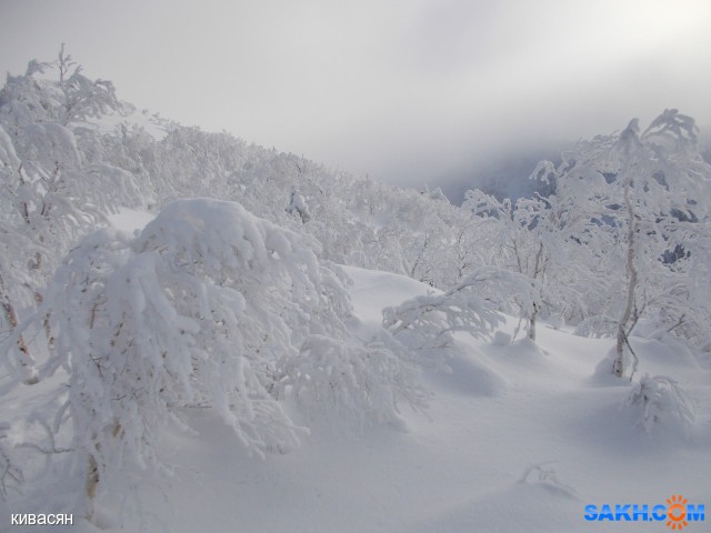 DSCN0201