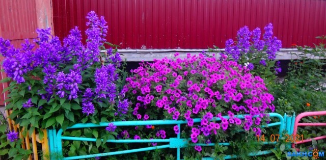 DSC03865

Просмотров: 314
Комментариев: 0