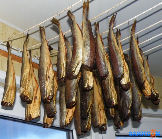 Наважка в соевом соусе
Высохнет, будет вкуснятина!
Просмотров: 683
Комментариев: 0