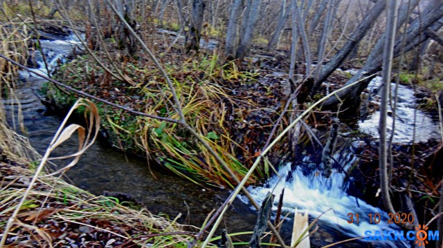 DSC08831
Едва заметный ручеёк посло циклона.

Просмотров: 325
Комментариев: 0