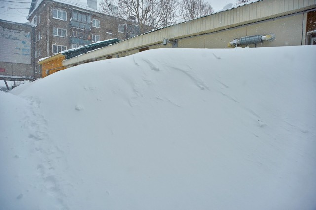 Любимый сугроб )